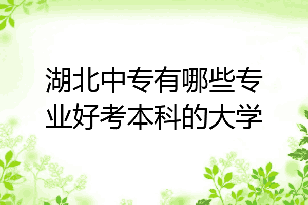 湖北中专有哪些专业好考本科的大学