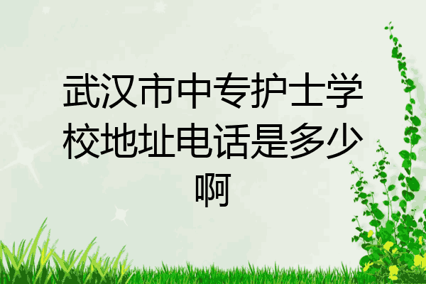 武汉市中专护士学校地址电话是多少啊