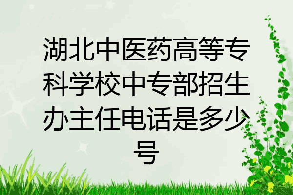 湖北中医药高等专科学校中专部招生办主任电话是多少号