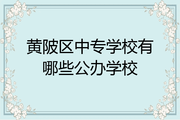 黄陂区中专学校有哪些公办学校