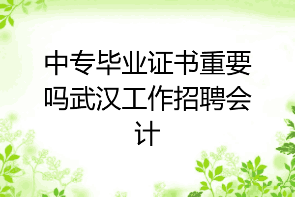 中专毕业证书重要吗武汉工作招聘会计