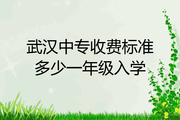 武汉中专收费标准多少一年级入学