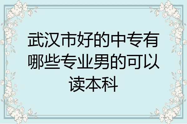 武汉市好的中专有哪些专业男的可以读本科