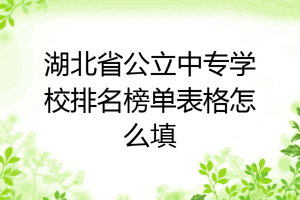 湖北省公立中专学校排名榜单表格怎么填