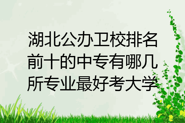 湖北公办卫校排名前十的中专有哪几所专业最好考大学