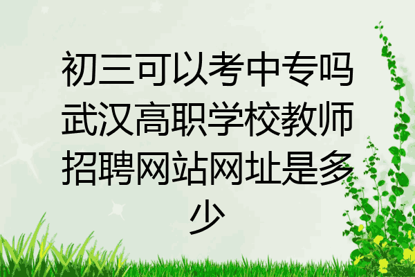 初三可以考中专吗武汉高职学校教师招聘网站网址是多少