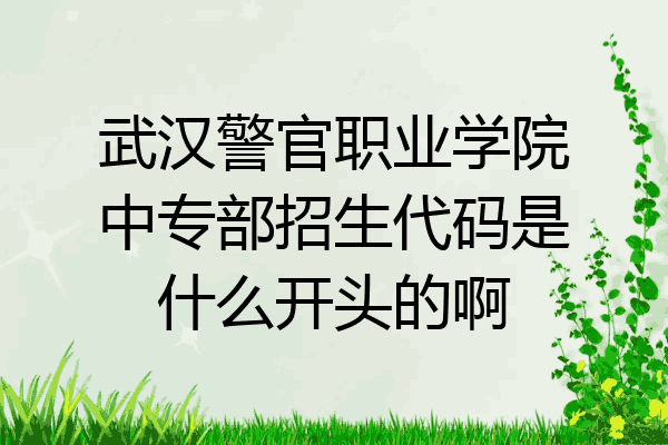武汉警官职业学院中专部招生代码是什么开头的啊