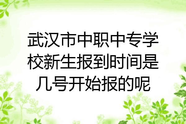 武汉市中职中专学校新生报到时间是几号开始报的呢