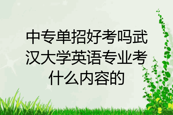 中专单招好考吗武汉大学英语专业考什么内容的