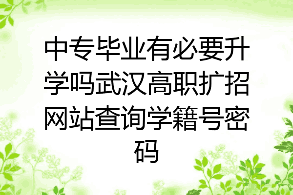 中专毕业有必要升学吗武汉高职扩招网站查询学籍号密码
