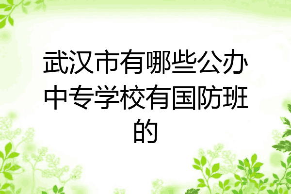 武汉市有哪些公办中专学校有国防班的