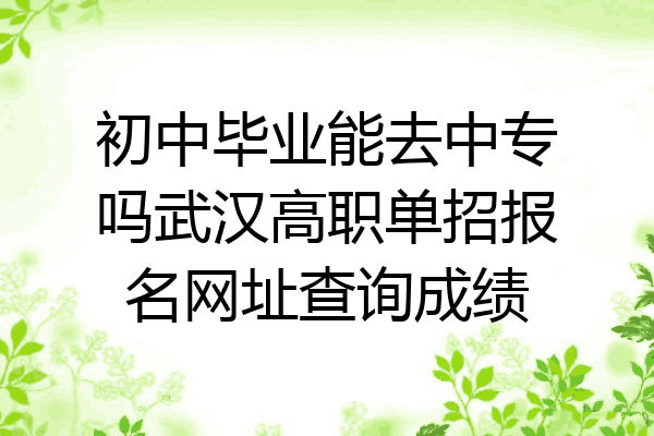 初中毕业能去中专吗武汉高职单招报名网址查询成绩