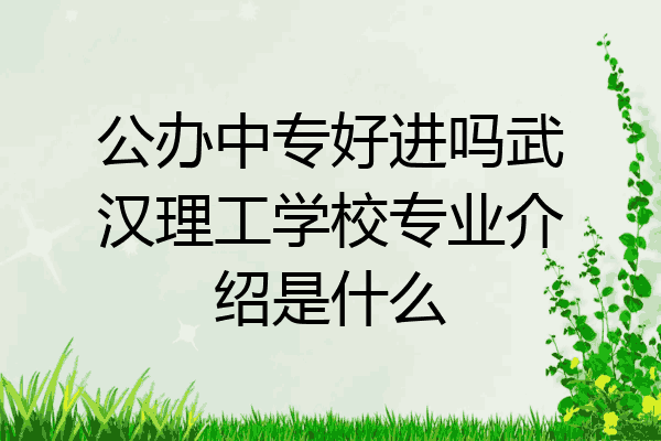 公办中专好进吗武汉理工学校专业介绍是什么