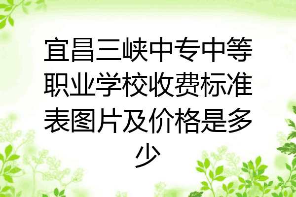 宜昌三峡中专中等职业学校收费标准表图片及价格是多少