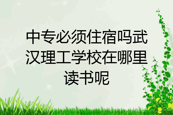 中专必须住宿吗武汉理工学校在哪里读书呢