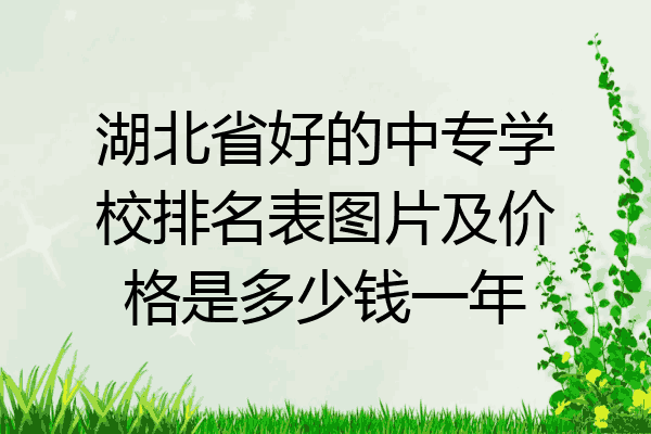 湖北省好的中专学校排名表图片及价格是多少钱一年