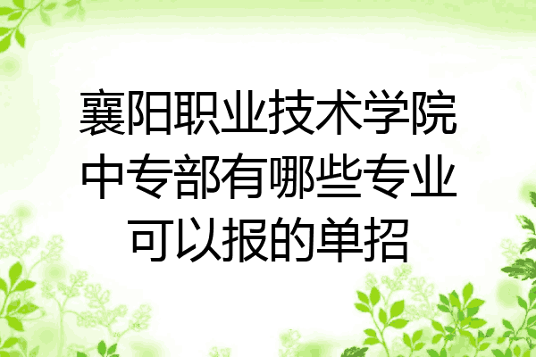 襄阳职业技术学院中专部有哪些专业可以报的单招