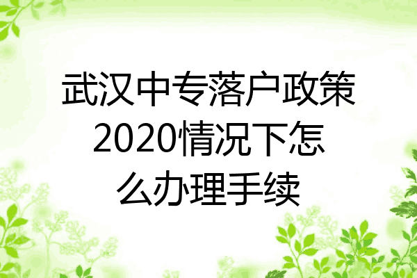 武汉中专落户政策2020情况下怎么办理手续