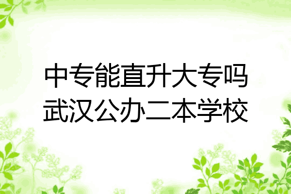 中专能直升大专吗武汉公办二本学校