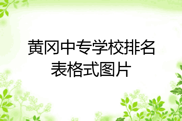 黄冈中专学校排名表格式图片