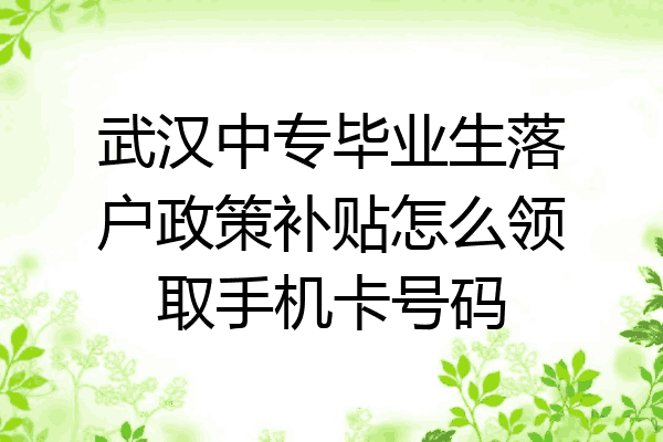 武汉中专毕业生落户政策补贴怎么领取手机卡号码