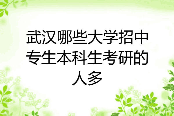 武汉哪些大学招中专生本科生考研的人多