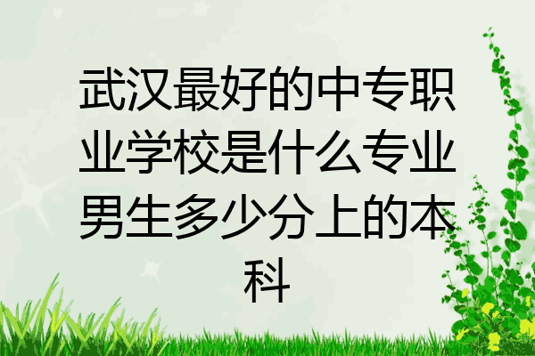 武汉最好的中专职业学校是什么专业男生多少分上的本科