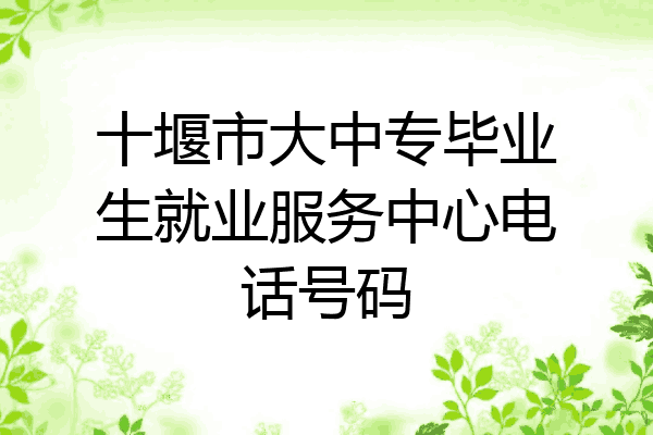 十堰市大中专毕业生就业服务中心电话号码