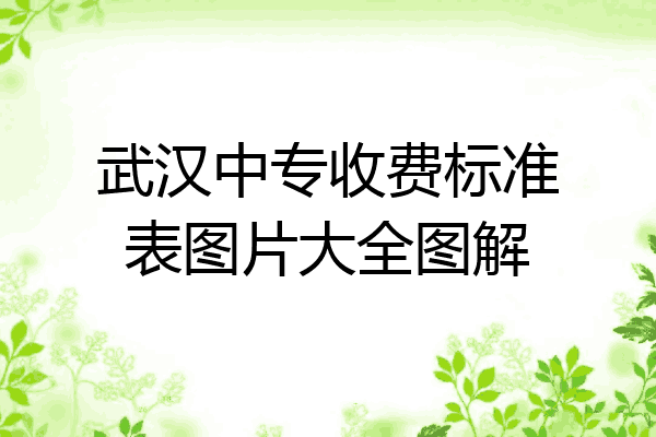 武汉中专收费标准表图片大全图解