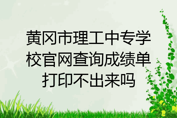黄冈市理工中专学校官网查询成绩单打印不出来吗