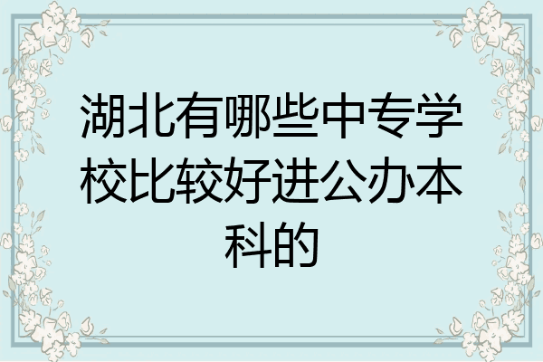湖北有哪些中专学校比较好进公办本科的
