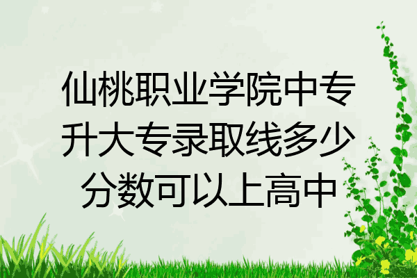 仙桃职业学院中专升大专录取线多少分数可以上高中