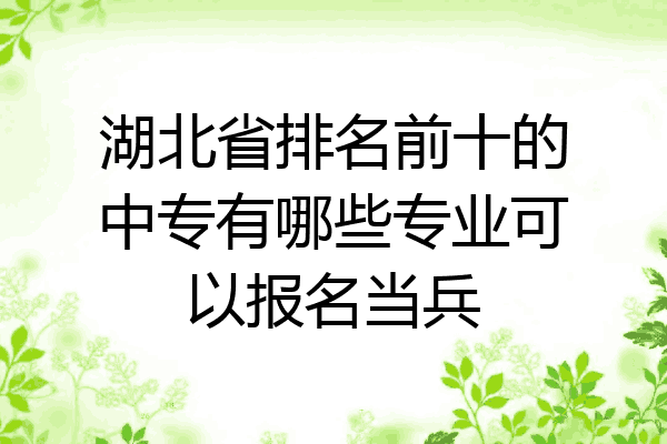 湖北省排名前十的中专有哪些专业可以报名当兵