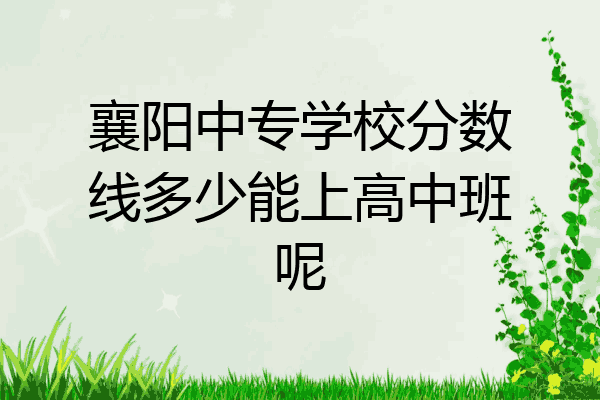 襄阳中专学校分数线多少能上高中班呢