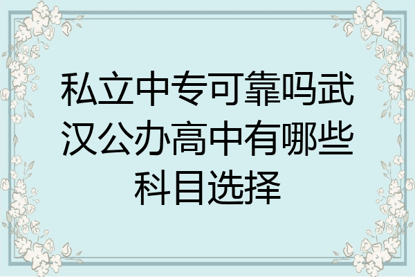私立中专可靠吗武汉公办高中有哪些科目选择