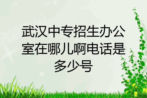 武汉中专招生办公室在哪儿啊电话是多少号