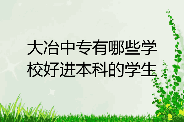 大冶中专有哪些学校好进本科的学生