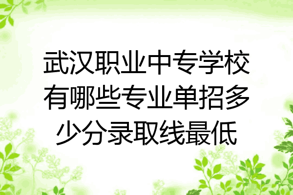 武汉职业中专学校有哪些专业单招多少分录取线最低