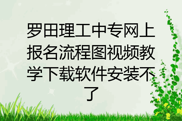 罗田理工中专网上报名流程图视频教学下载软件安装不了