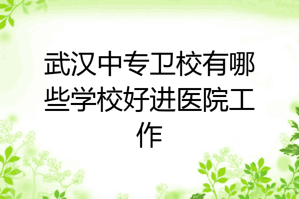 武汉中专卫校有哪些学校好进医院工作