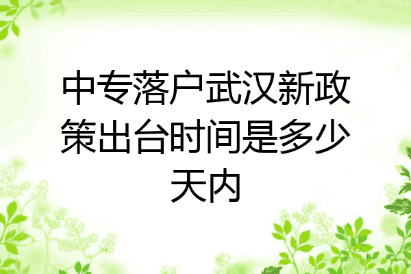 中专落户武汉新政策出台时间是多少天内