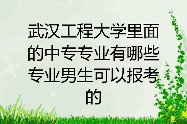 武汉工程大学里面的中专专业有哪些专业男生可以报考的