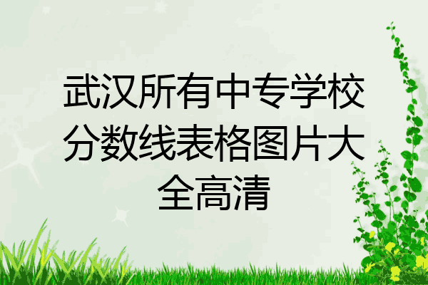 武汉所有中专学校分数线表格图片大全高清