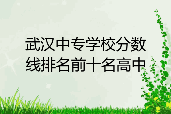 武汉中专学校分数线排名前十名高中
