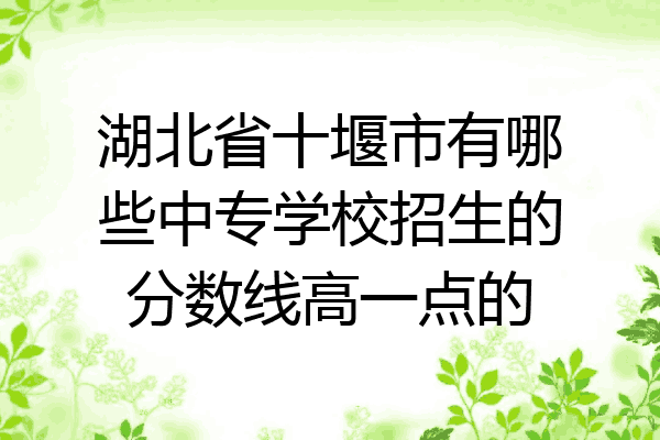 湖北省十堰市有哪些中专学校招生的分数线高一点的
