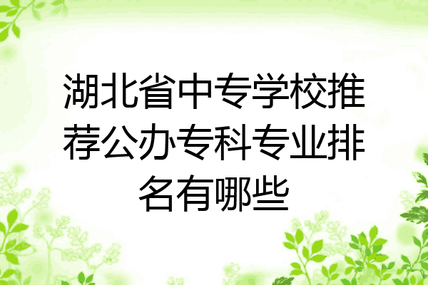 湖北省中专学校推荐公办专科专业排名有哪些