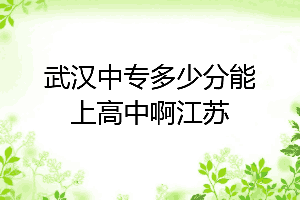 武汉中专多少分能上高中啊江苏