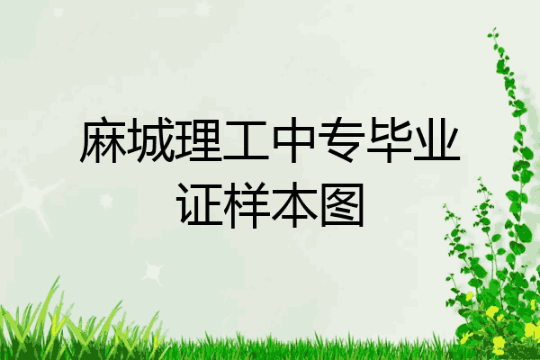 麻城理工中专毕业证样本图