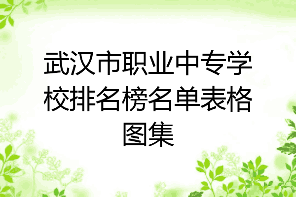 武汉市职业中专学校排名榜名单表格图集