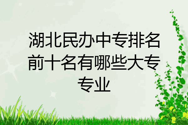 湖北民办中专排名前十名有哪些大专专业